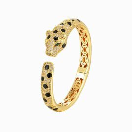 Picture of Cartier Sets _SKUCartiersuits0912671555